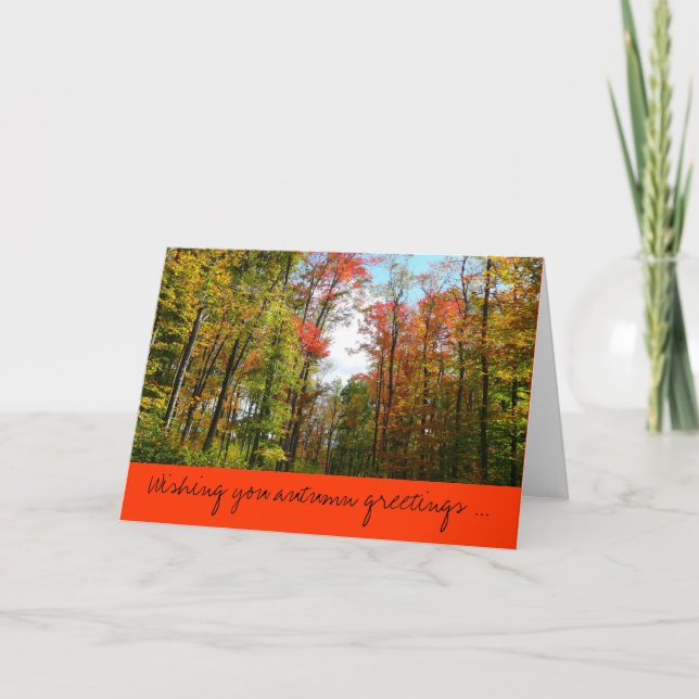 Fall Trees and Blue Sky Autumn Greetings Card (Front)