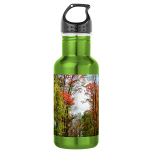 Fall Trees and Blue Sky Autumn Nature Photography 532 Ml Water Bottle
