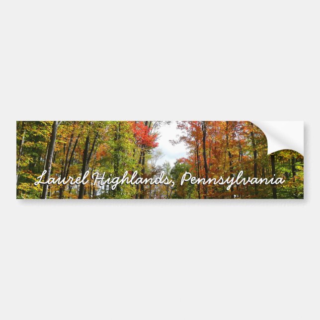 Fall Trees and Blue Sky Autumn Nature Photography Bumper Sticker (Front)
