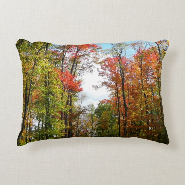 Fall Trees and Blue Sky Autumn Nature Photography Decorative Cushion (Front)