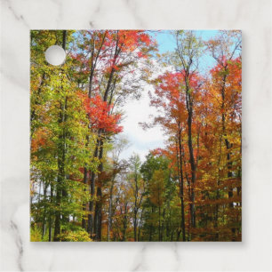 Fall Trees and Blue Sky Autumn Nature Photography Favour Tags