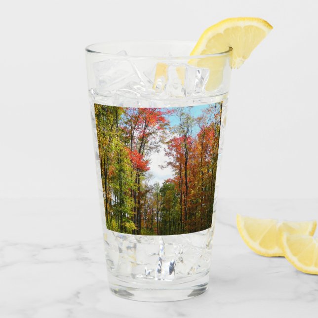Fall Trees and Blue Sky Autumn Nature Photography Glass (Back Ice)