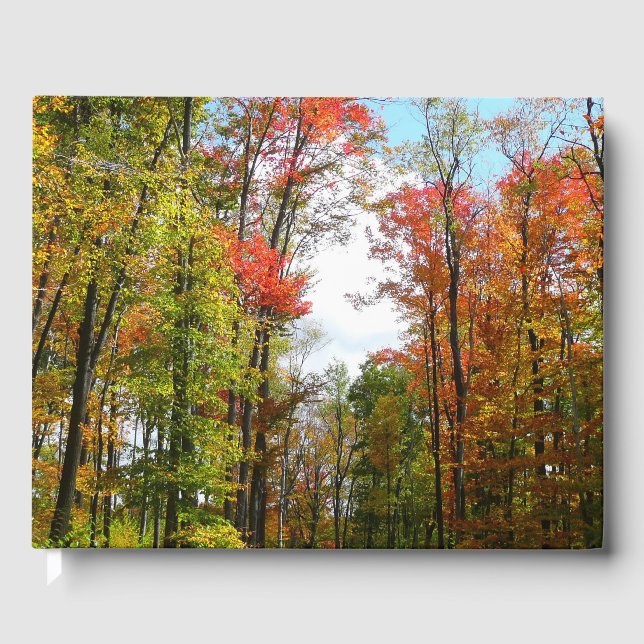 Fall Trees and Blue Sky Autumn Nature Photography Guest Book (Front)