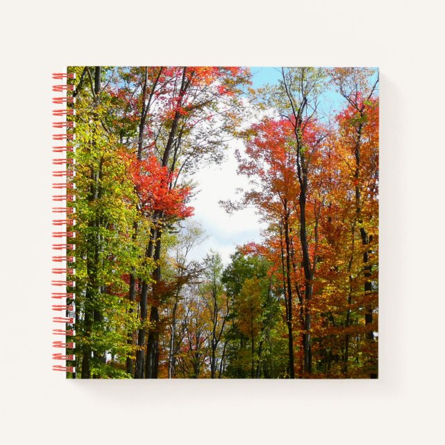 Fall Trees and Blue Sky Autumn Nature Photography Notebook (Front)