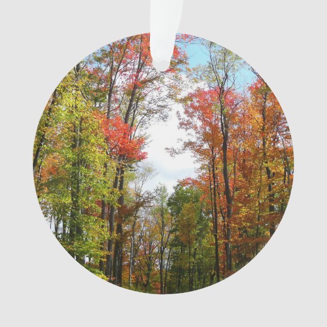 Fall Trees and Blue Sky Autumn Nature Photography Ornament (Front)
