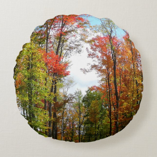 Fall Trees and Blue Sky Autumn Nature Photography Round Cushion (Front)
