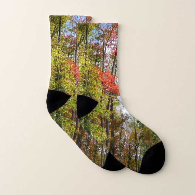 Fall Trees and Blue Sky Autumn Nature Photography Socks (Pair)