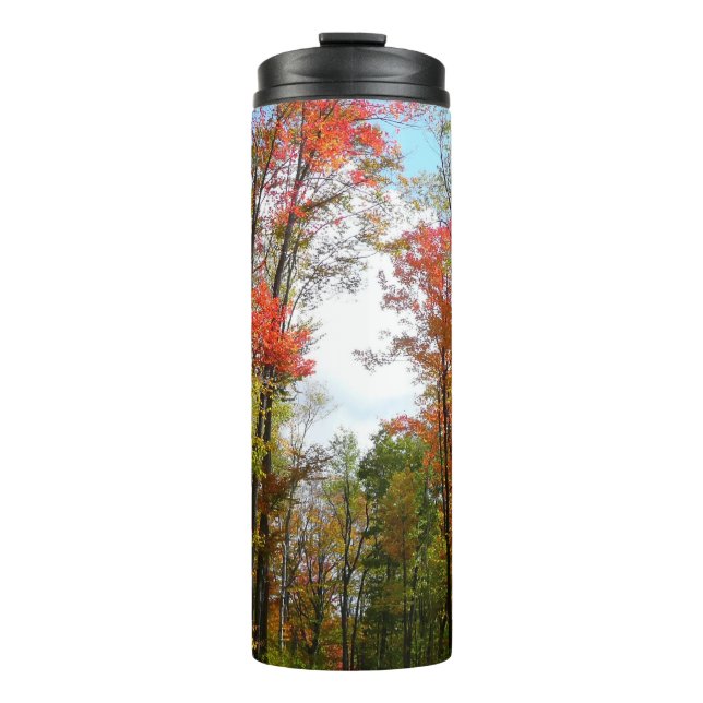 Fall Trees and Blue Sky Autumn Nature Photography Thermal Tumbler (Front)