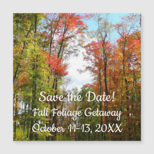 Fall Trees and Blue Sky Autumn Save the Date
