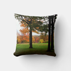 Fall Trees Autumn Niagara Falls State Park Cushion