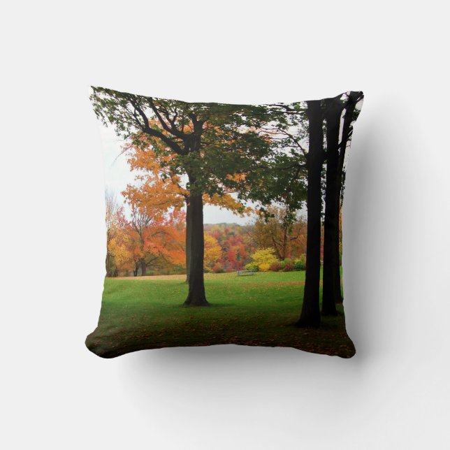 Fall Trees Autumn Niagara Falls State Park Cushion (Front)