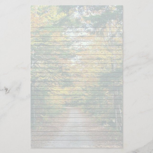 Fall Trees Backroad Seasonal Stationery (Front)