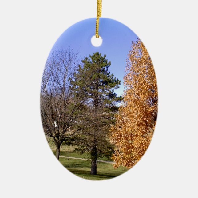 Fall Trees Ceramic Tree Decoration (Front)