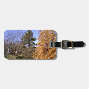 Fall Trees Luggage Tag