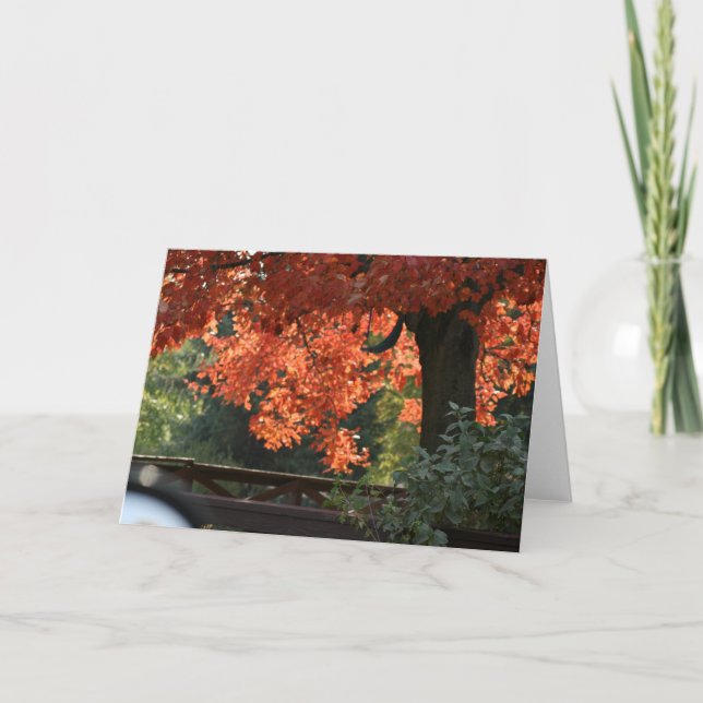 FALL TREES SEASONAL NOTE CARDS (Front)