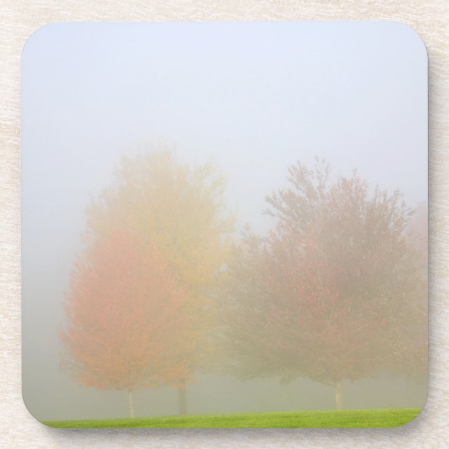 Fall trees shrouded in mist coaster (Front)