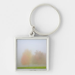 Fall trees shrouded in mist key ring