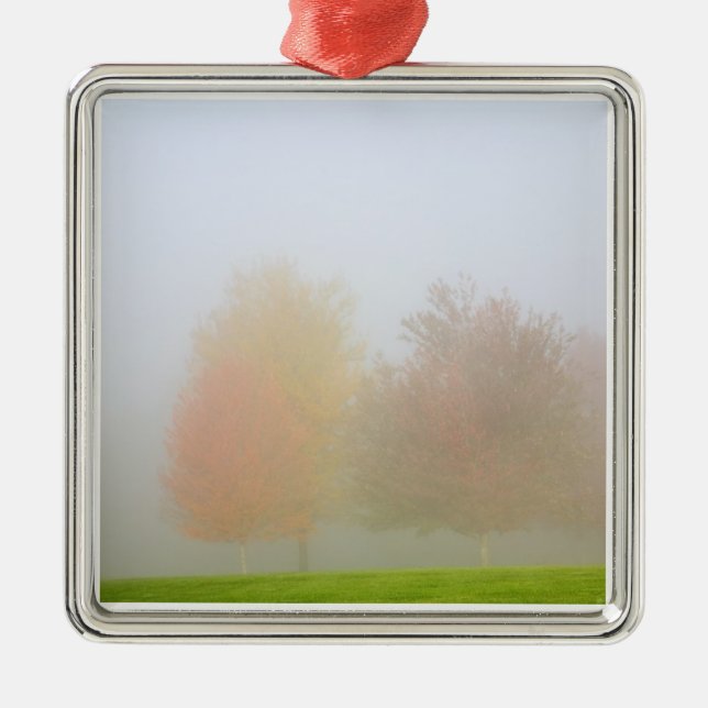 Fall trees shrouded in mist metal tree decoration (Front)