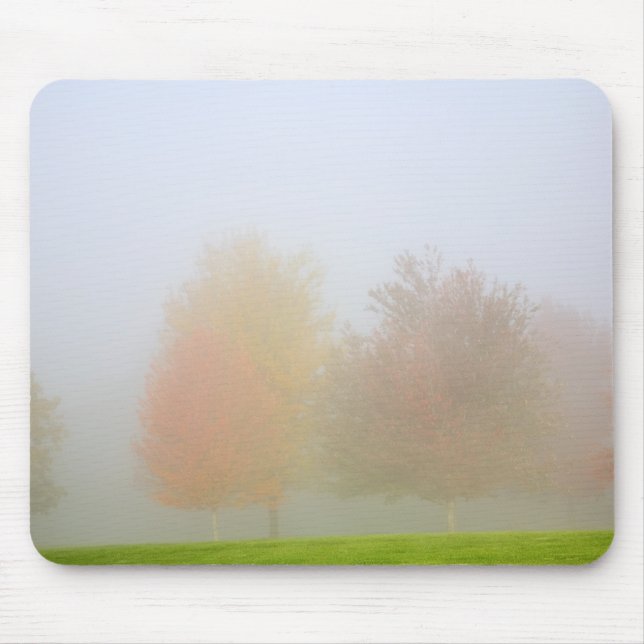 Fall trees shrouded in mist mouse mat (Front)