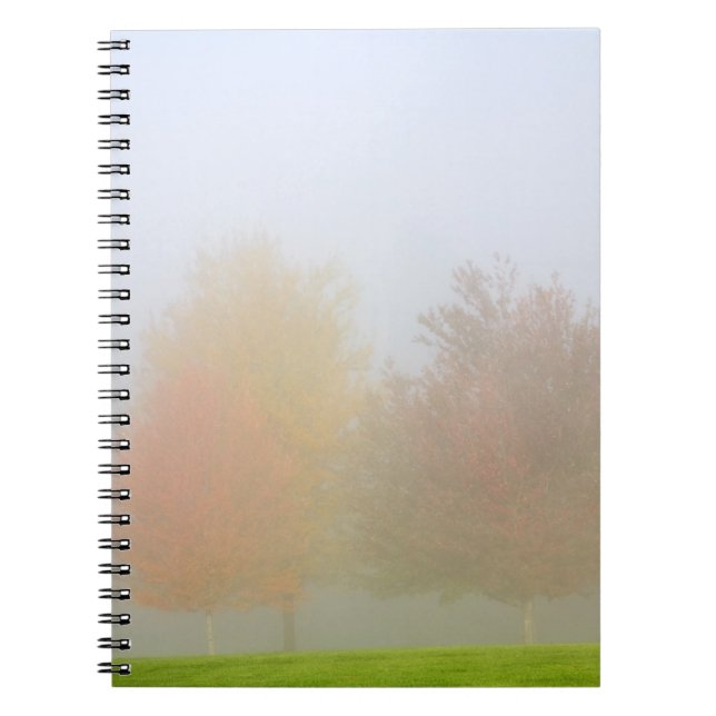 Fall trees shrouded in mist notebook (Front)