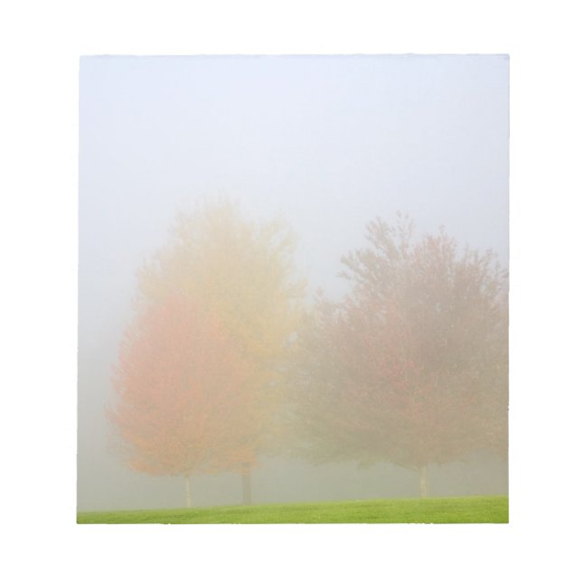 Fall trees shrouded in mist notepad (Front)