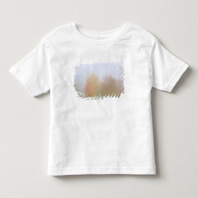 Fall trees shrouded in mist toddler T-Shirt (Front)