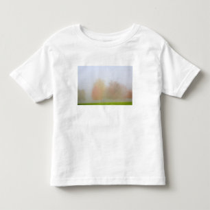 Fall trees shrouded in mist toddler T-Shirt
