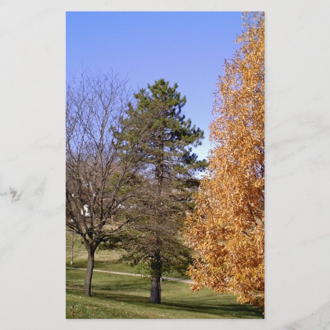 Fall Trees Stationery (Front)