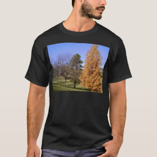 Fall Trees T-Shirt