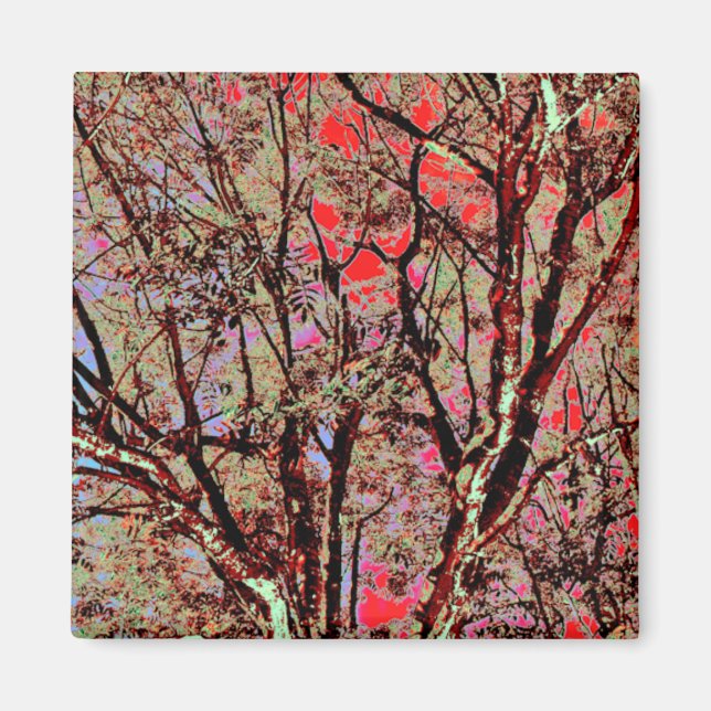 FALL TREES UK MAGNET (Front)