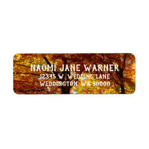 Fall Trees Wedding Return Address Labels