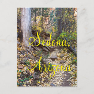 Fall upon the West Fork trail in Sedona, Arizona Postcard