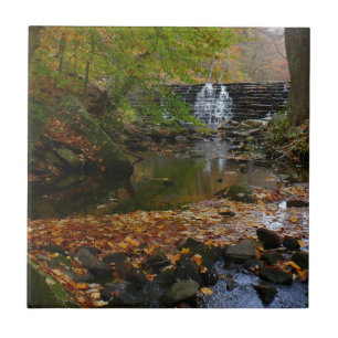 Fall Waterfall and Creek Pennsylvania Nature Tile