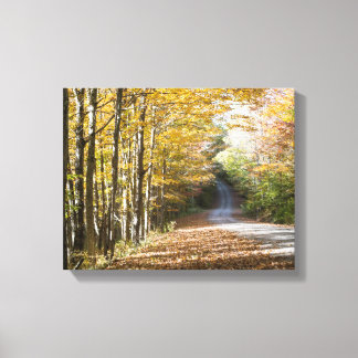 Fall wilderness scene canvas print