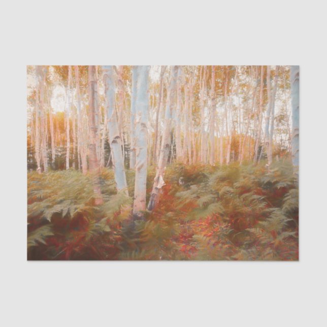 Fall Woodland Fern Forest Birch Trees Art Tissue Paper (Front)