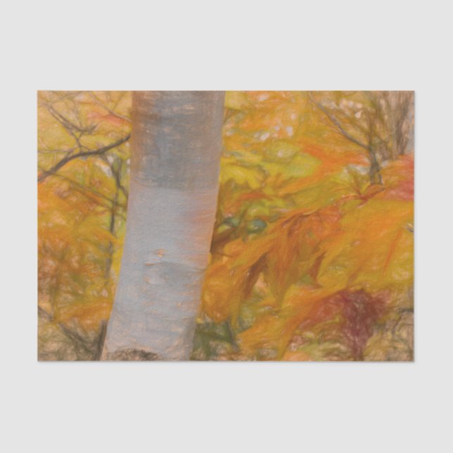 Fall Yellow Sketch Art Forest Leaves Birch Tree Tissue Paper (Front)