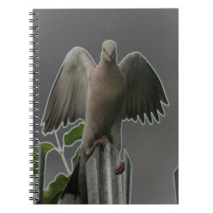 Fallen Angel Dove Notebook