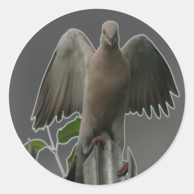 Fallen Angel Dove Sticker (Front)