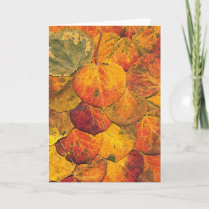 Fallen Aspen Leaves Card