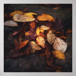 Fallen Autumn Leaves Art Print