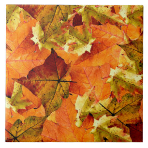 Fallen Autumn Leaves Tile