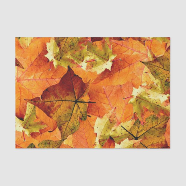 Fallen Autumn Leaves Tissue Paper (Front)
