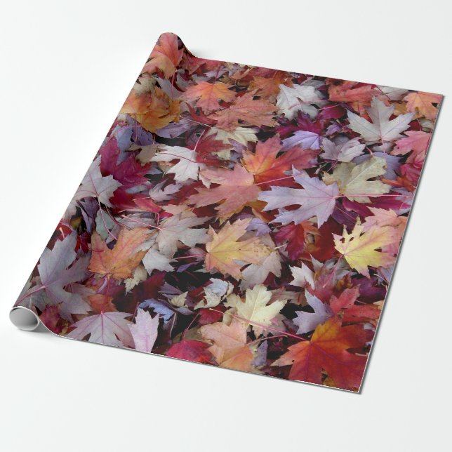 Fallen Autumn Tree Leaves Wrapping Paper (Unrolled)