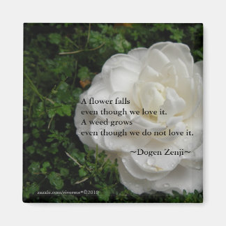 Fallen Camellia/ Zen Quote Magnet