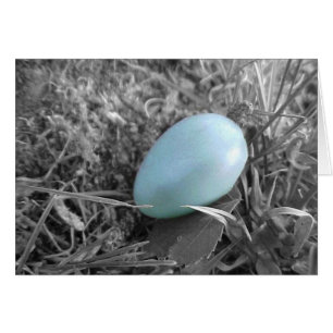 Fallen from the nest