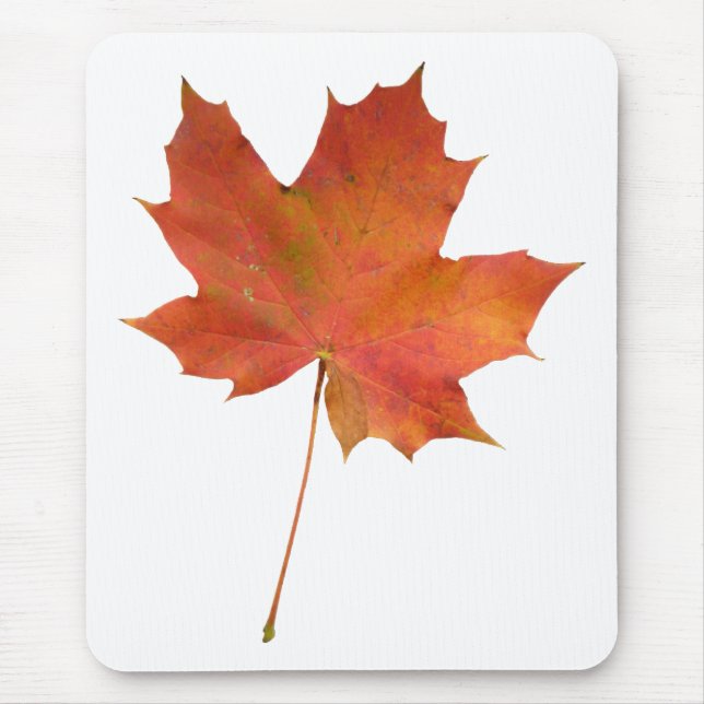 Fallen Leaf 01 Mouse Mat (Front)