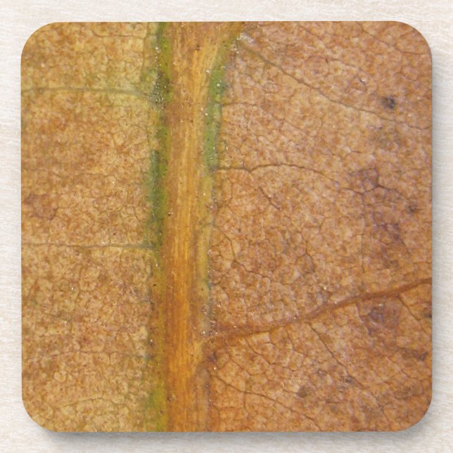 Fallen Leaf 11 Coaster (Front)