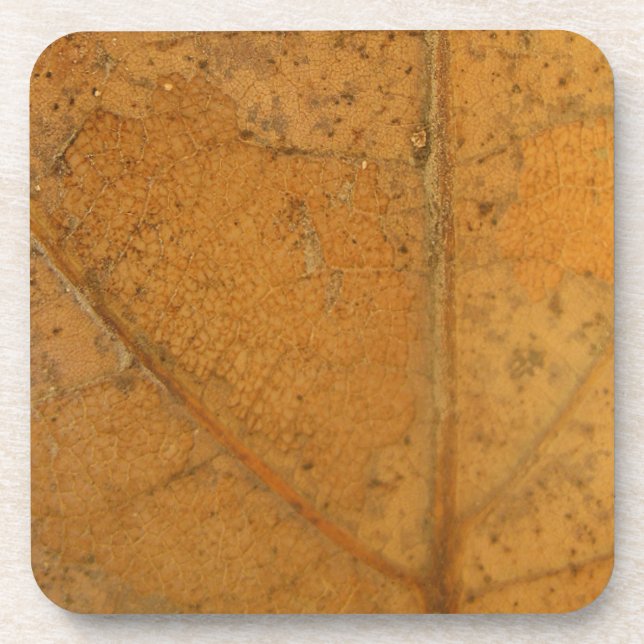 Fallen Leaf 2 Coaster (Front)