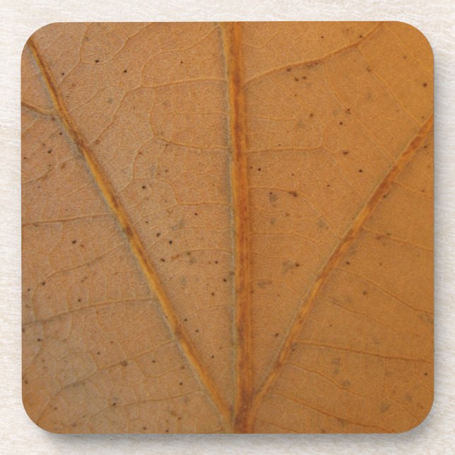 Fallen Leaf 6 Coaster (Front)