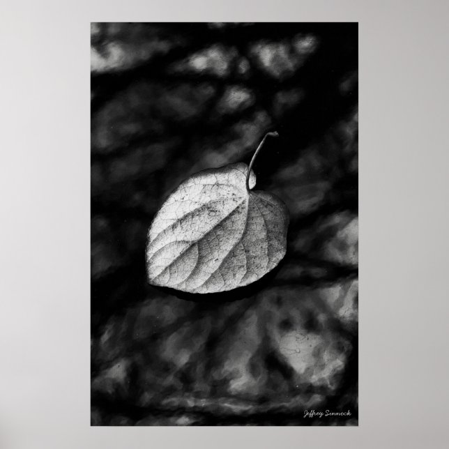 Fallen Leaf Poster (Front)